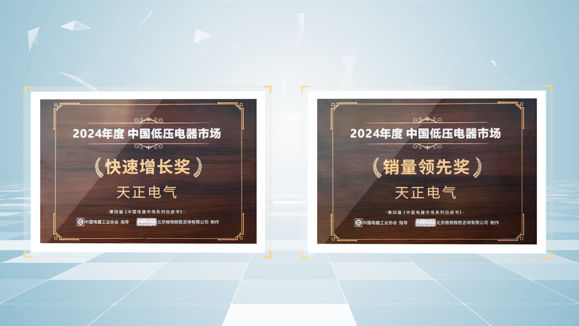 銷量領(lǐng)先、快速增長丨天正榮膺2項(xiàng)行業(yè)年度大獎(jiǎng)